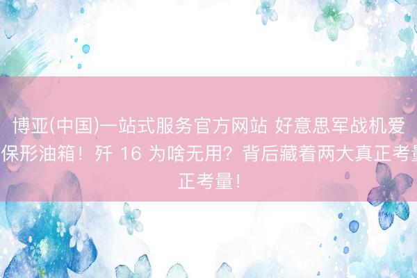 博亚(中国)一站式服务官方网站 好意思军战机爱装保形油箱！歼 16 为啥无用？背后藏着两大真正考量！