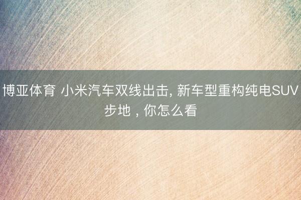 博亚体育 小米汽车双线出击， 新车型重构纯电SUV步地 ， 你怎么看