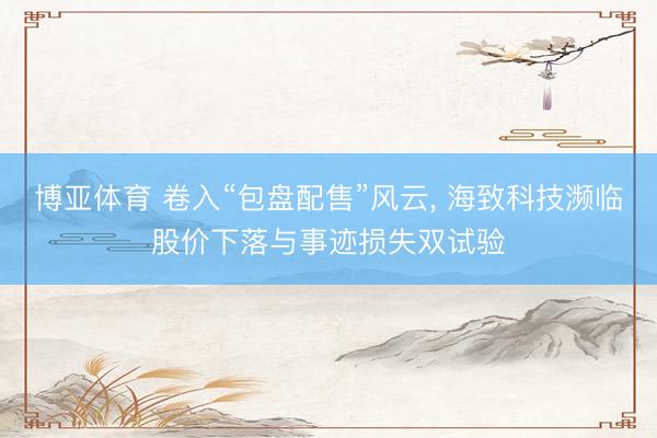博亚体育 卷入“包盘配售”风云, 海致科技濒临股价下落与事迹损失双试验