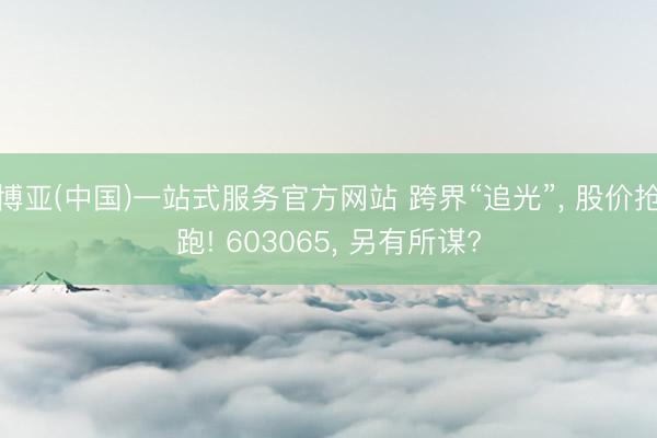 博亚(中国)一站式服务官方网站 跨界“追光”， 股价抢跑! 603065， 另有所谋?