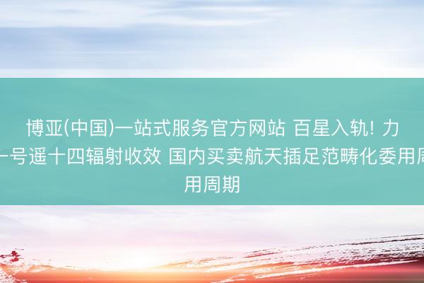 博亚(中国)一站式服务官方网站 百星入轨! 力箭一号遥十四辐射收效 国内买卖航天插足范畴化委用周期