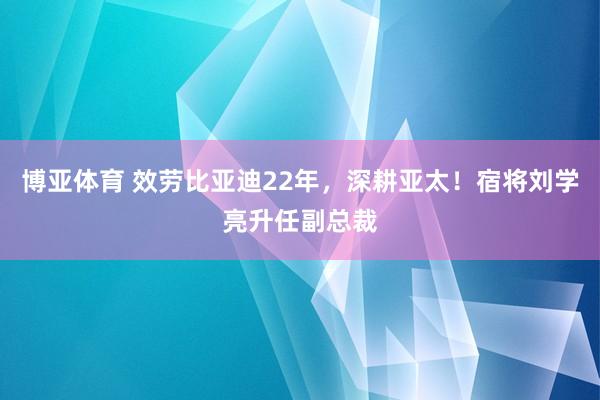 博亚体育 效劳比亚迪22年，深耕亚太！宿将刘学亮升任副总裁